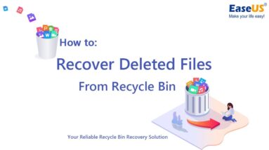 How to Recover Deleted Files from Recycle Bin in Windows 10, 8.1, 8, 7, XP, Vista?