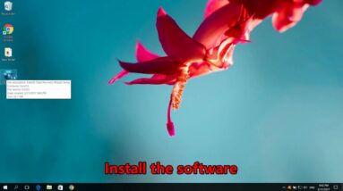 2017 Easter Special Offer Is Online | Hunt Eggs Now!