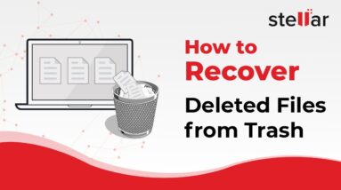 Recover deleted files after emptying trash on macOS Big Sur, Catalina and other macOS