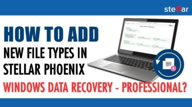How to add new file types in Stellar Phoenix Windows Data Recovery-Professional?