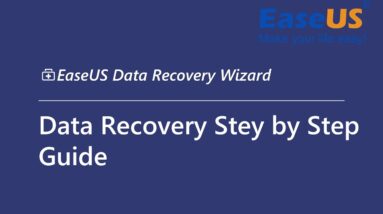 Data Recovery Step by Step Guide
