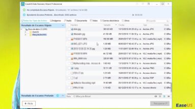 EaseUS Data Recovery Wizard Spanish Review by Emanuel Manzaniatico