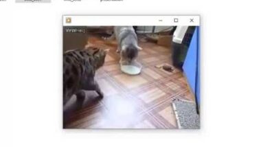 EaseUS video recovery software -  recover lost, deleted, formatted vidoes without a hitch