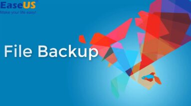 File backup [EaseUS Todo Backup Enterprise Edition]