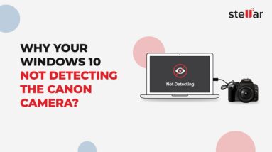 How to fix Canon Camera not detecting on Windows 10