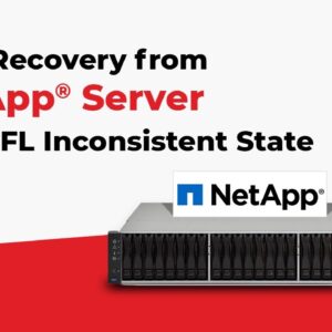 How to Recover Data from NetApp® Server with WAFL Inconsistent Error?