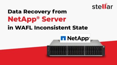 How to Recover Data from NetApp® Server with WAFL Inconsistent Error?