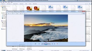Recover Deleted Recycle Bin Files