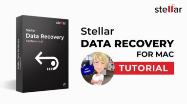 How to Use Stellar Data Recovery Professional for Mac Review by Savy Techgirl
