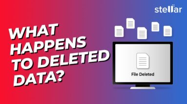 What Happens to Deleted Data? Can They Be Recovered?