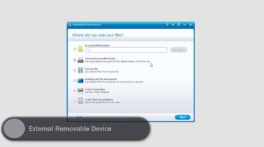 How to Recover Files from Flash Drive(Win)
