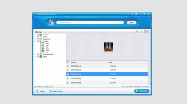 Raw File Recovery of Wondershare Data Recovery (Win)