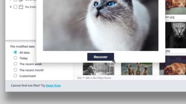 Recoverit Official Demo User Guide1