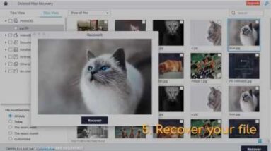 Top 5 Free Photo Recovery software 2019